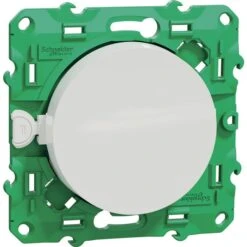 Schneider Electric Interrupteur Simple - Odace - Schneider - Basse Tension