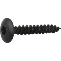 Vis Penture Tête Cylindrique Bombé T30 - Ø 6 Mm - 70 Mm - Zingué Noir - Boîte De 100 Pièces - Viswood