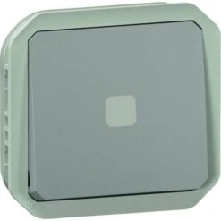 Interrupteurs Temporisé - Plexo - Legrand - Composable - Témoin Lumineux