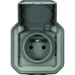 Prise De Courant étanche - Plexo - Complet - Legrand - 2P+T - 16 A - Gris - IP55 - En Saillie