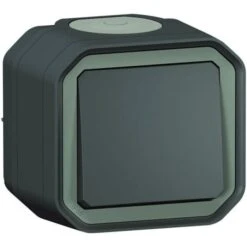 Interrupteurs étanche Gris Anthracite En Saillie- Commande Simple - Plexo - Legrand