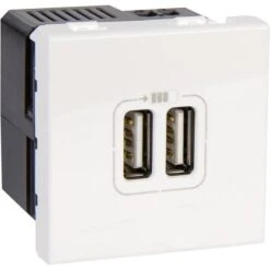 Prise Double USB Mosaic - Legrand