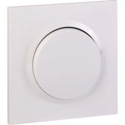 Interrupteur Ou Va-et-vient Blanc 10 AX - Dooxie One - Legrand