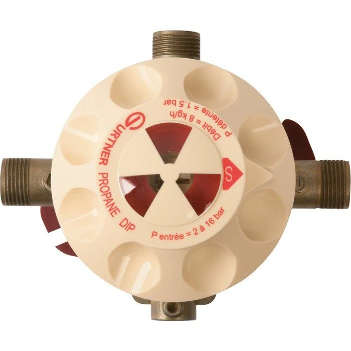 Détendeur Inverseur Gaz Propane D,I,P - Débit 8 Kg/h Gurtner 1 Détendeur Inverseur Gaz Propane D,I,P - Débit 8 Kg/h Gurtner